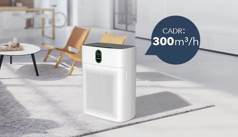 Best Air Purifiers